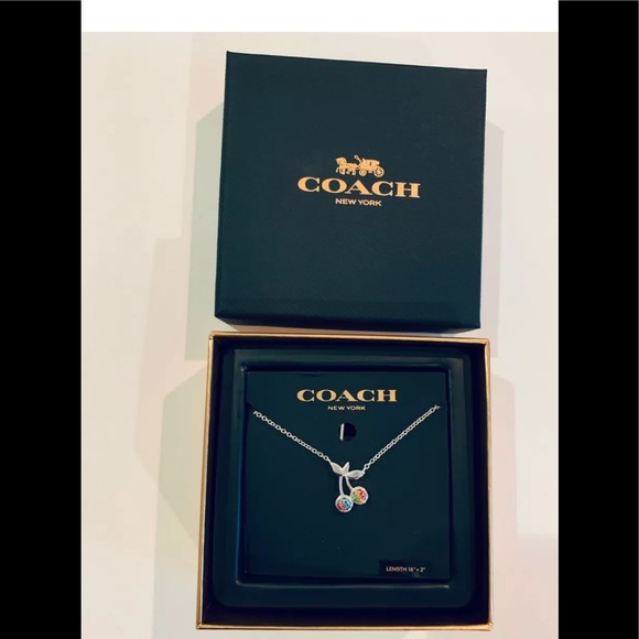 🆕Coach CHERRY 🍒RAINBOW 🌈 16"-18", *PRIDE* - Picture 3 of 6